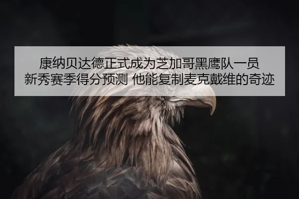 康纳贝达德正式成为芝加哥黑鹰队一员 新秀赛季得分预测 他能复制麦克戴维的奇迹