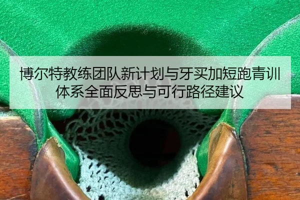 bo-er-te-jiao-lian-tuan-dui-xin-ji-hua-yu-ya-mai-jia-duan-pao-qing-xun-ti-xi-quan-mian-fan-si-yu-ke-xing-lu-jing-jian-yi-2-119.jpg