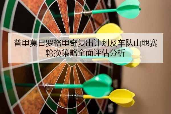pu-li-mo-ri-luo-ge-li-qi-fu-chu-ji-hua-ji-che-dui-shan-di-sai-lun-huan-ce-lve-quan-mian-ping-gu-fen-xi-2-658.jpg